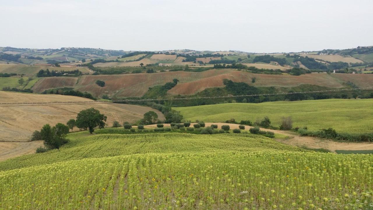 Valle Del Metauro Country House Montemaggiore al Metauro エクステリア 写真