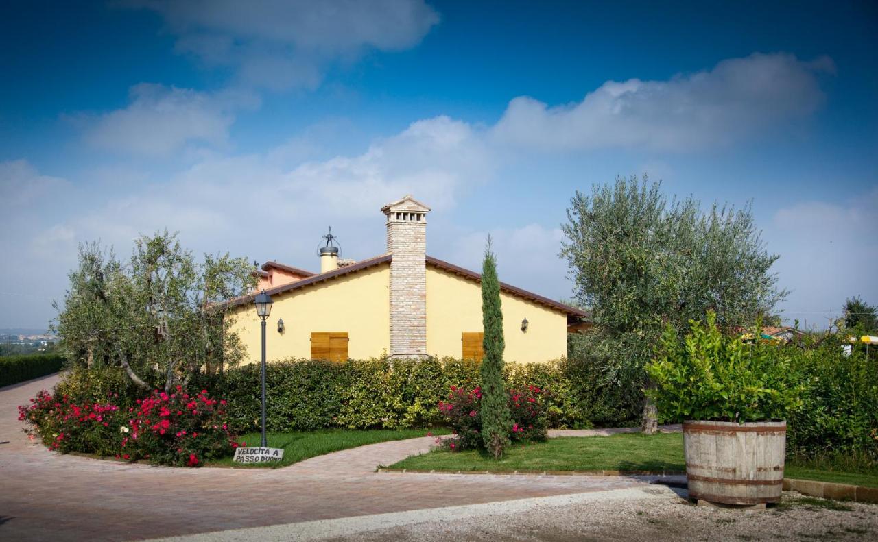 Valle Del Metauro Country House Montemaggiore al Metauro エクステリア 写真